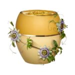 بالم محافظت کننده تندرکر اوریفلیم - Image 2