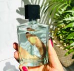 عطر مردانه اکلت توژورس اینتنستی - Image 4