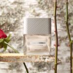 عطر مردانه دبونیر جنتل وود - Image 3