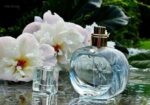عطر زنانه لوسیا برایت - Image 2